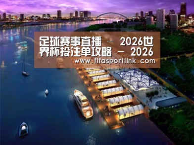 案例展示八