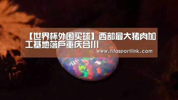 世界杯买球网站