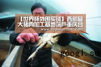 世界杯投注