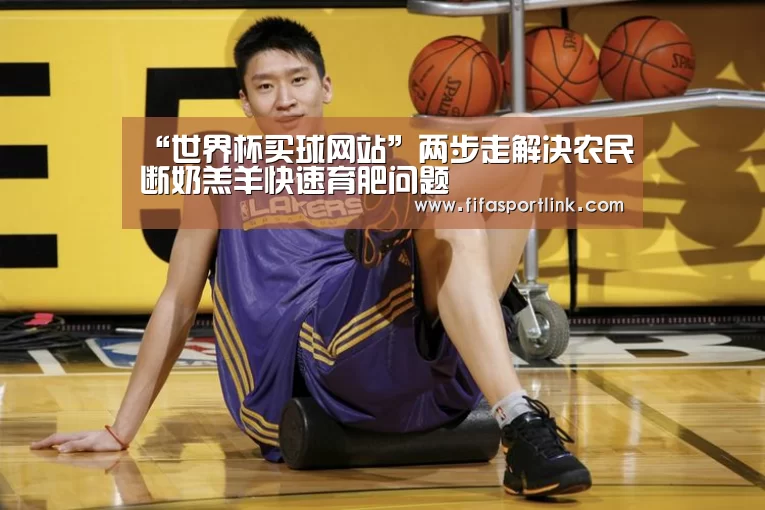 世界杯买球网站