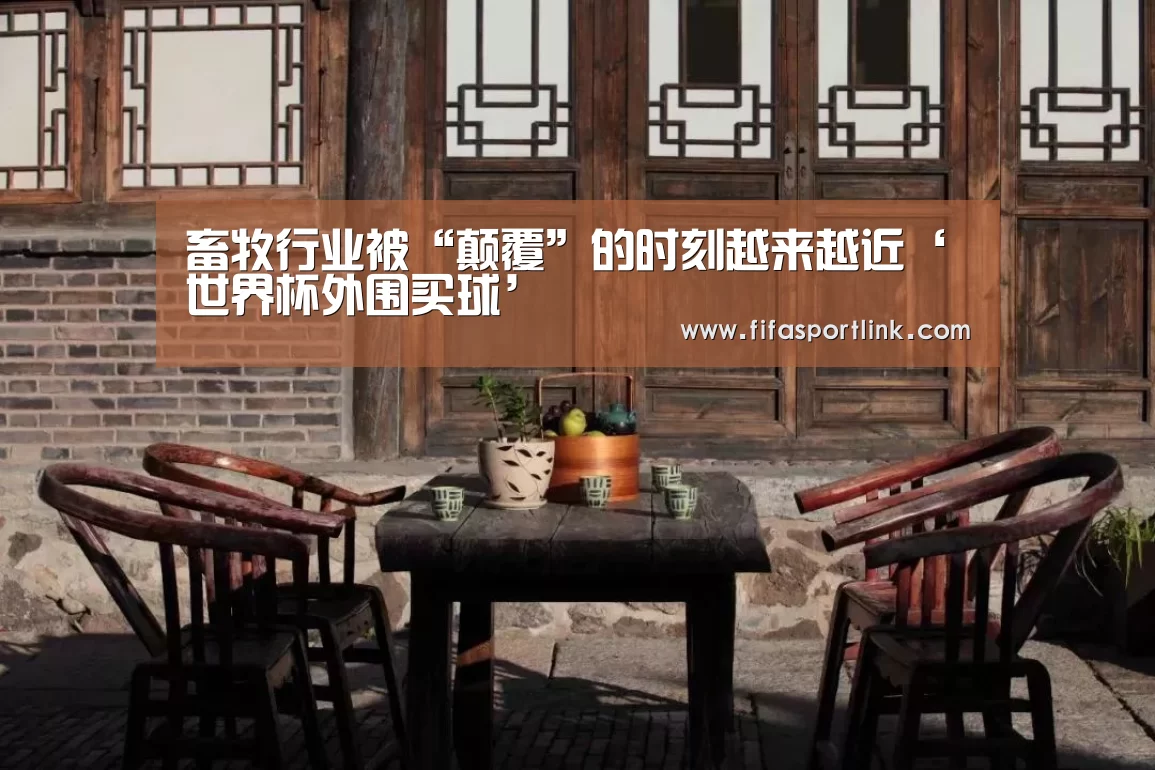 世界杯外围买球