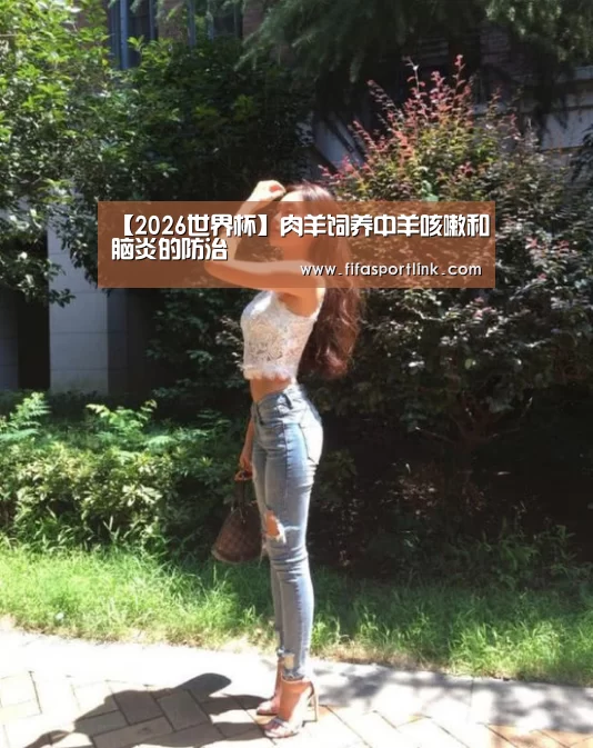 2026世界杯