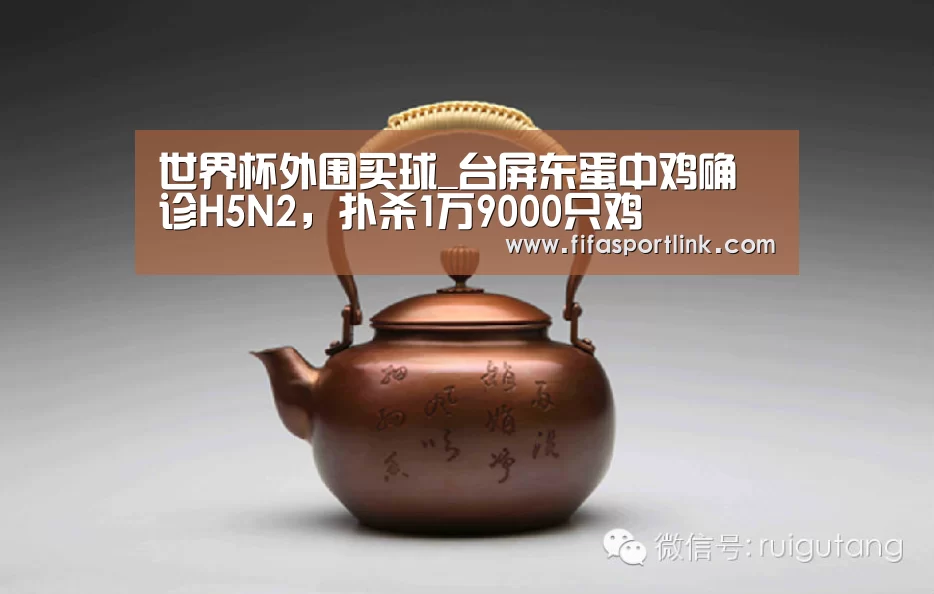 世界杯外围买球