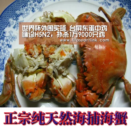 世界杯投注