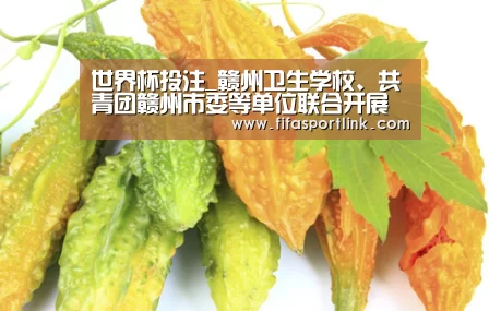 世界杯买球网站