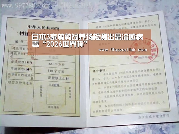 世界杯买球网站