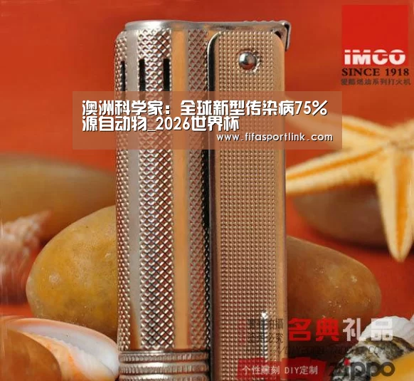 2026世界杯