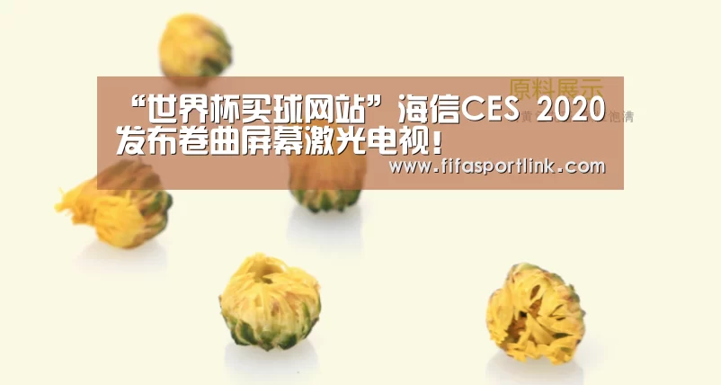 世界杯投注