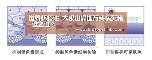 世界杯投注_大银山偷埋万头病死猪 谁之过?(图2) 世界杯买球网站