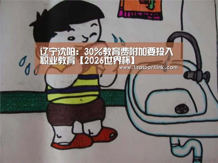 辽宁沈阳：30%教育费附加要投入职业教育【2026世界杯】